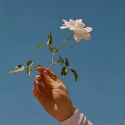 王者圣域之至尊单机手游下载