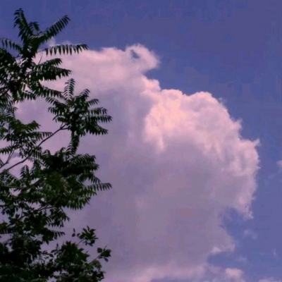 列王的纷争西部大陆九游版下载